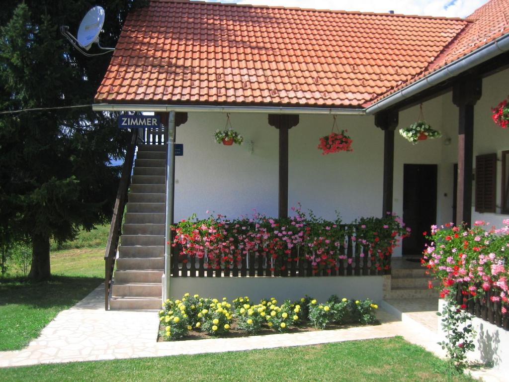 Guesthouse Andja Smoljanac Exterior foto
